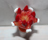 14mm GOLDEN SABER TOOTH GLASS SLIDE Tobacco Glass Slide Bowl 14 mm male